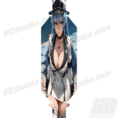 Losi DBXL-E 1.0 Buggy Chassis Protector Graphic Decal Esdeath Anime 3