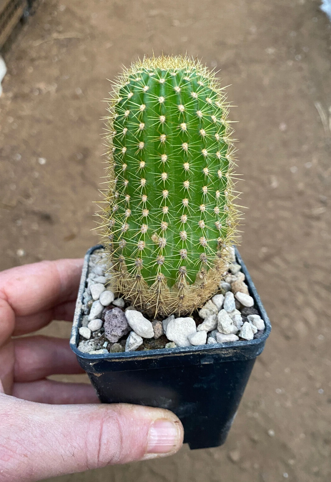 Foto 3 di 5