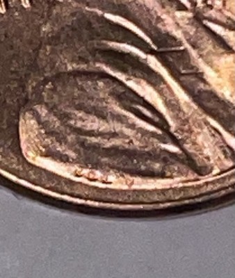 2023 Penny VDB extra V