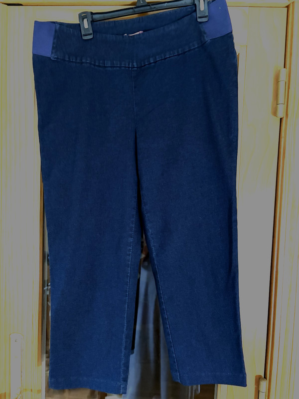 Woman Within Blue Denim Jean's Elastic Waist Pull On Stretch  16P NWOT