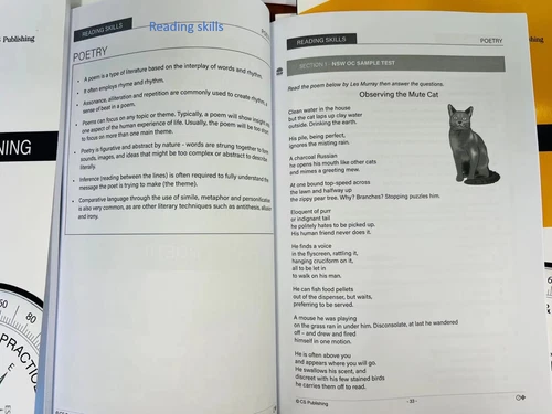 CS Education OC Placement Test Strategies by categories pk of 3 Thinking Skills - Picture 12 of 13