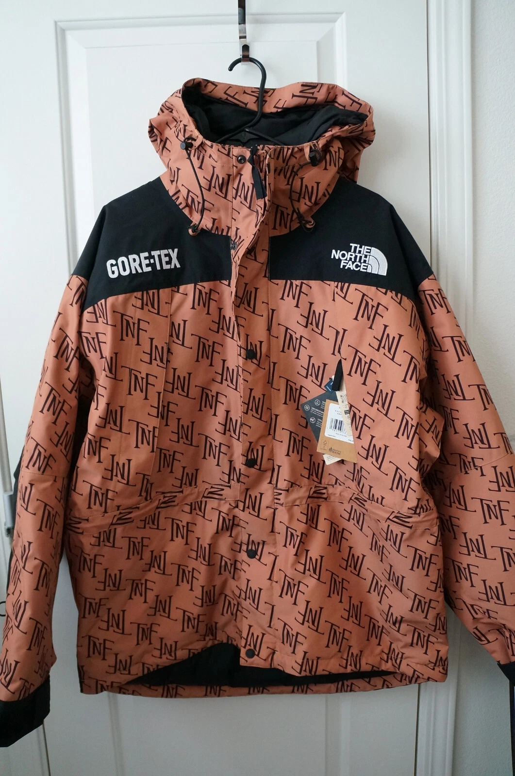 Veste The North Face Gore Tex Mountain Guide isolée rétro suprême homme taille L