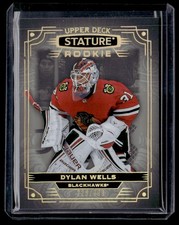 2022-23 Upper Deck Stature /399 Dylan Wells Chicago Blackhawks #126