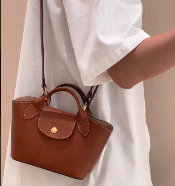 LONGCHAMP Épure XS Tote bag Brown - Leather New From Japan | eBay