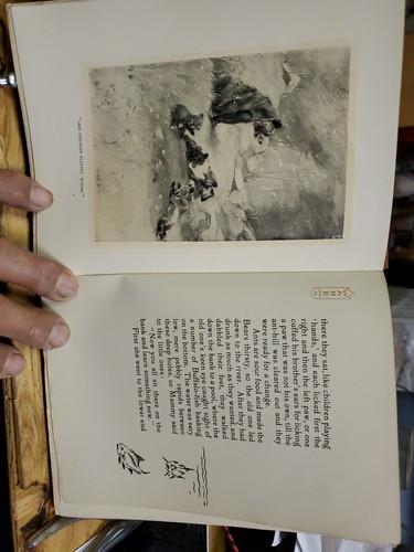 Die Biographie eines Grizzlys und 75 Zeichnungen - Bild 6 von 8