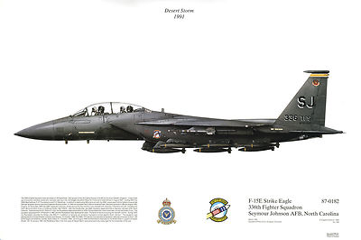 Squadron Print 336 F15E Strike Eagle 336TFS USAF Seymour-Johnson Aviation Art