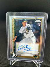Ginn Chrome 2025 Auto