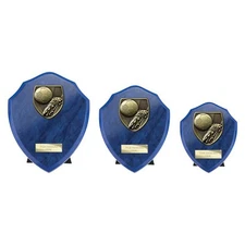 Cobra Football Boot and Ball Blue Shield - Free Engraving - Multiple Sizes