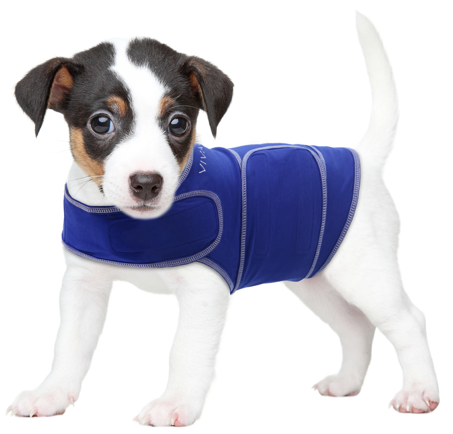 Deep Blue Dog calming coat, antianxiety shirt, XXS SIZE eBay