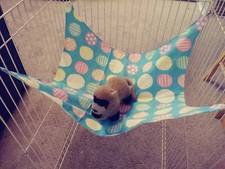 Ferret Large Hammock - Colorful Easter Dots Pattern - 15" x 17"