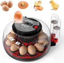 Incubators for Hatching Eggs 12 Egg Automatic Turner with Temperature Humidity