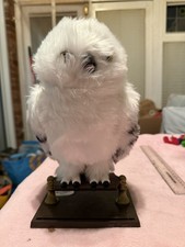 Harry Potter, Encantador Hedwig Búho Interactivo con Soporte de Sonidos de Movimiento