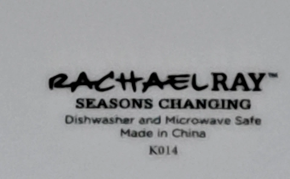 RACHAEL RAY "Seasons Changing"10.5" Plates (LOT of FIVE) OUT OF STOCK cir-2017 - Image 3 of 3