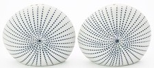 Handmade Porcelain Salt and Pepper Shakers Sea Shell Art Kitchen Decor -DIVA SNP