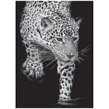 Feline Gaze A1 Decoupage Fiber Paper - Redesign with Prima - Free Shipping