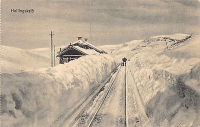 NORGE Norway - Hallingskeid - Utgiver Mittet & Co.