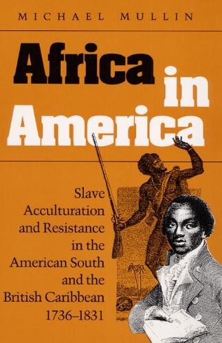 Africa in America – Slave Acculturation and Resistance in the American South an…