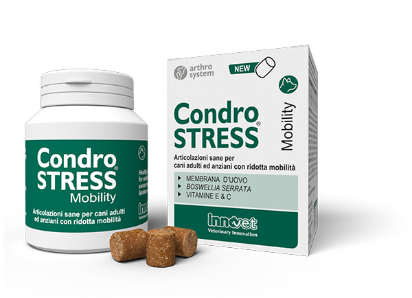 Condrostress Mobility 60 Compresse Innovet - Supporto Osteoartrite Cane