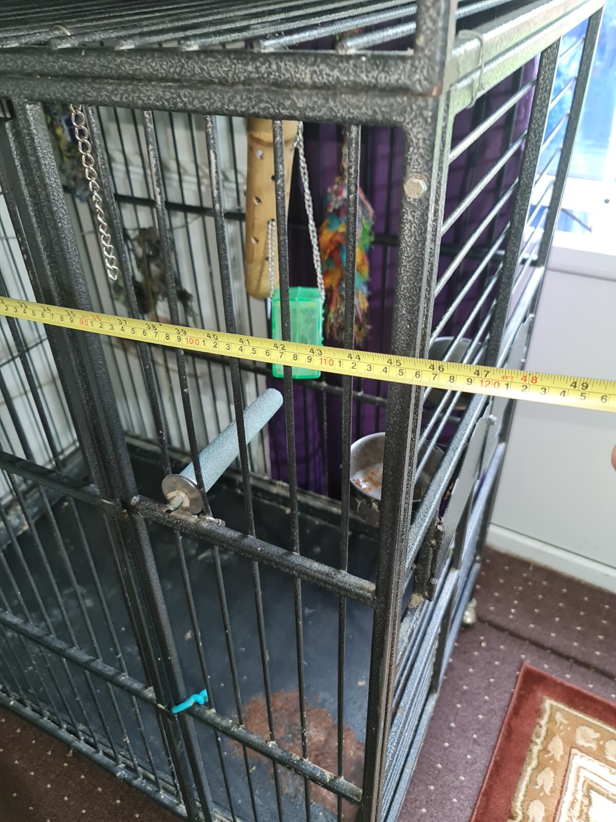 large bird cage eBay