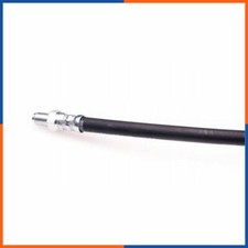 Flexible de frein Citroen NEMO