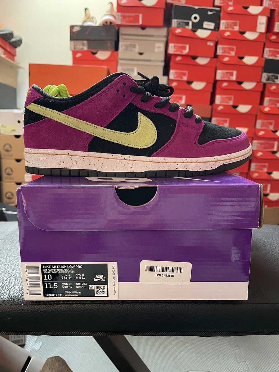 Size 10 Nike SB Dunk Low Pro ACG Terra Red Plum 195240632996|