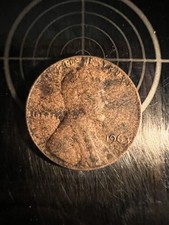  on The Hot Collector