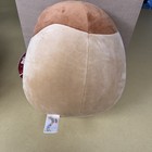 Squishmallows 10” Kachina The Kiwi Food Plush New w/ Tag-6-6-2024 — photo 3