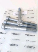 4x Lamborghini Urus Bremssattelschrauben vorne brake pads front WHT004572