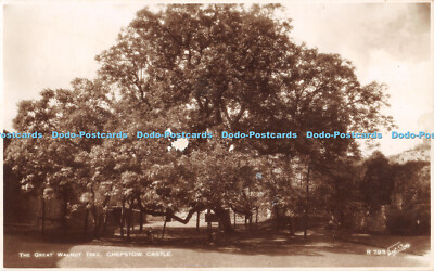 R469692 Chepstow Castle The Great Walnut Tree Walter Scott RP