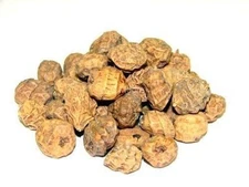 Cyperus esculentus sativus TIGER NUT GRASS/SEDGE Small Tubers!