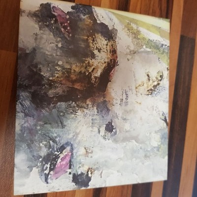 THESE ARMS ARE SNAKES tail swallower and dove DIGI VG+/EX (CD Album, Hard)