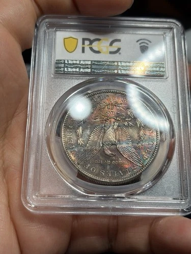 1881-S Morgan Silver Dollar PCGS MS65 - Rainbow Tone Reverse, Lustrous!