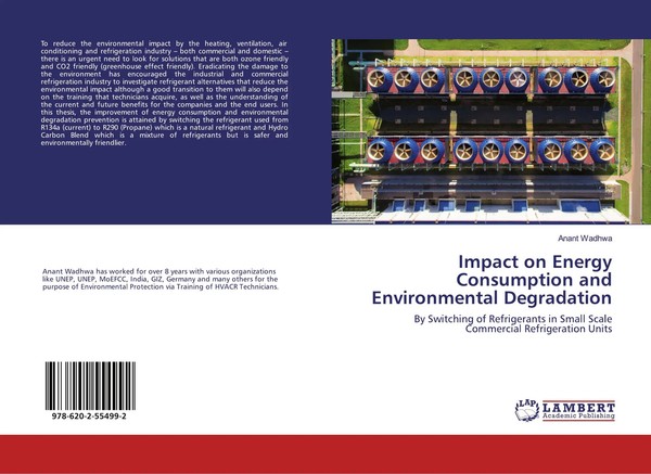 Anant Wadhwa | Impact On Energy Consumption And Environmental Degradation | Buch-image