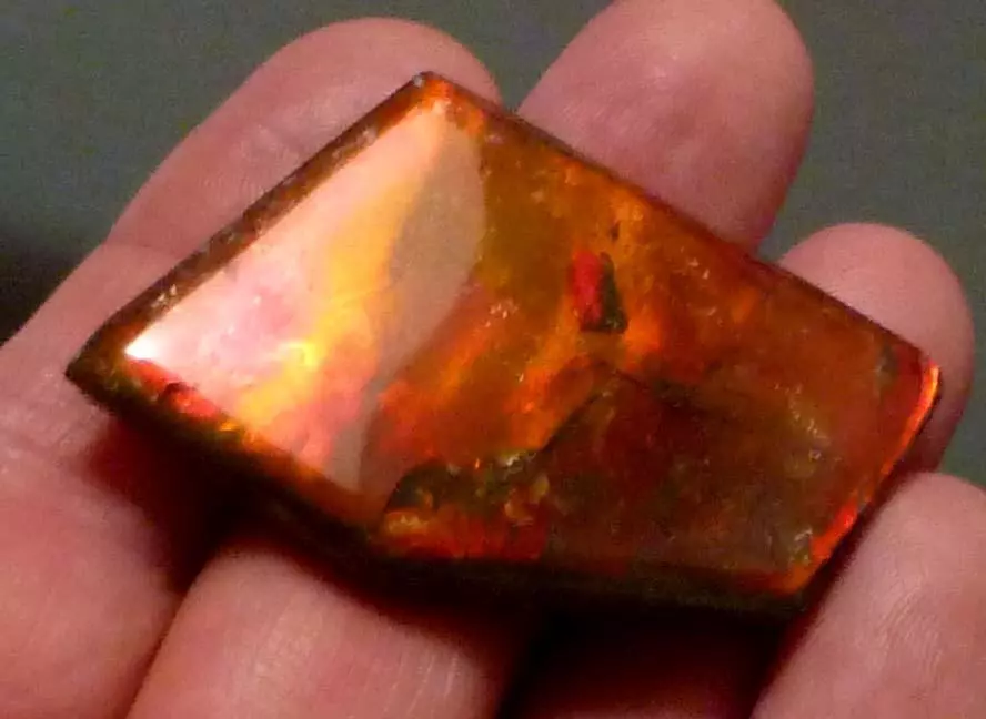 Ammolite ebay shop