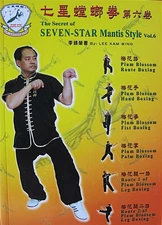 RARE 2004 THE SECRET OF SEVEN STAR MANTIS STYLE KUNG FU LEE KAM WING MARTIAL ART