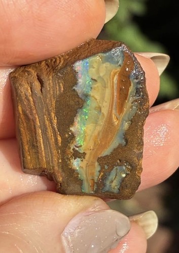 Gorgeous 43ct Australian Boulder Opal Rough Loose Specimen Blue Pink Green H