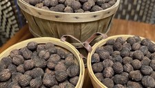 15 Lbs Black Walnuts hulled, in shell fresh harvest 2025, NC, Non GMO, ORGANIC