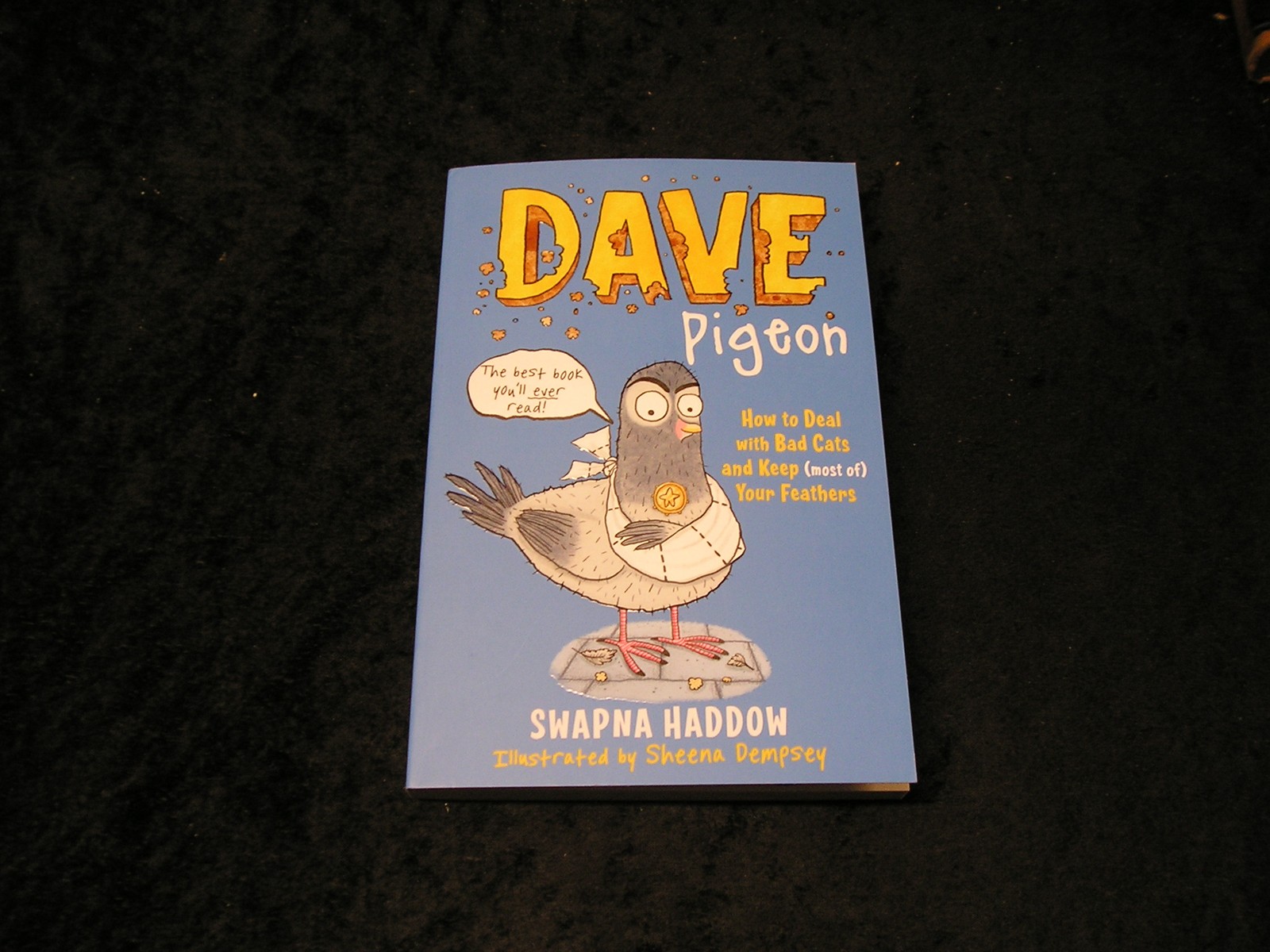 Dave Pigeon : World Book Day 2023 Author by Swapna Haddow (2016, Trade ... - Image 2