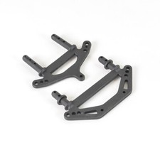 FTX Carnage FTX Outlaw FTX Bugsta Body Post (2 Posts) - FTX6325