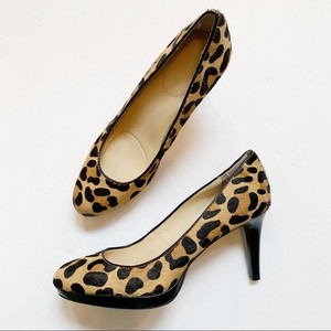 calvin klein cheetah shoes