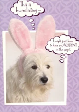 Accident on Carpet - Designer Greetings Funny Easter Card by Designer Greetings