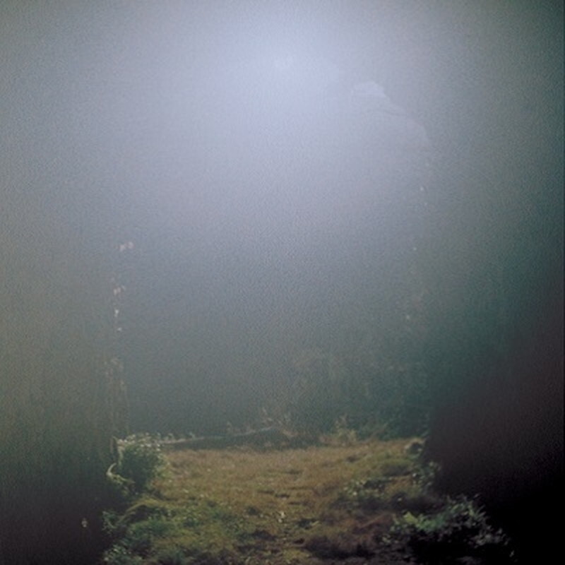 Новая пластинка Shin Sasakubo/Venus Penguin HRLP264