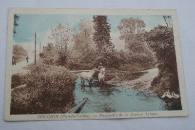 HEUCHIN PAS DE CALAIS PASSERELLE DE LA SOURCE LETAUX CHEVAUX