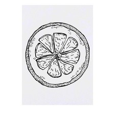 'Sliced Lemon' Temporary Tattoos / Transfers TO00022046
