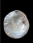 Large Round Pearl Shell Pendant - Kimberley's WA pre 1960's