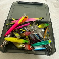 Bulk sea bass lure fishing