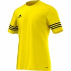 Foto 12 di 50