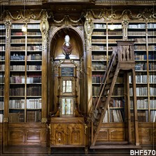 Bookcase10'x10' Computer/Digital Vinyl Scenic Photo Background Backdrop BHF570