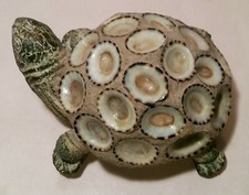 BONSAI turtle cement garden statue japanese tree hawaiian 'Opihi limpet seashell
