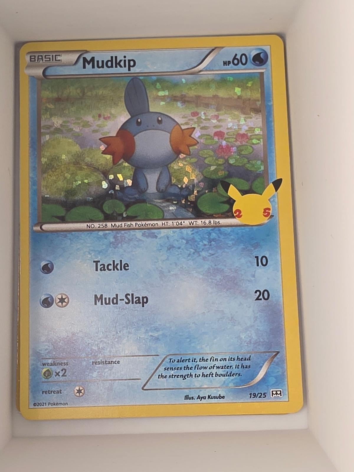 Mudkip 019/025 Promo McDonald's 25th Anniversary Promos Pokemon Holo Near Mint